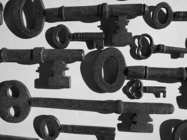 19 نکته کلیدی در تغذیه بچه خرگوش یتیم (تا 2 ماهگی)